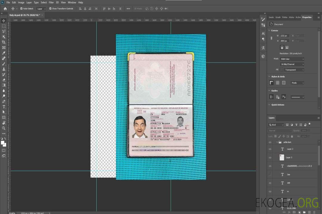 Look photo du passeport moldave (2014-présent) template